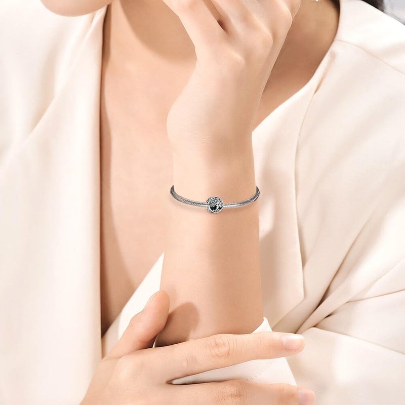 DATOUQI Queen Happy Birthday Hot Air Balloon Family Puppy Charm 925 Sterling Silver Charms for Bracelets and Necklaces Mother's Day Charms for Women - Image 3